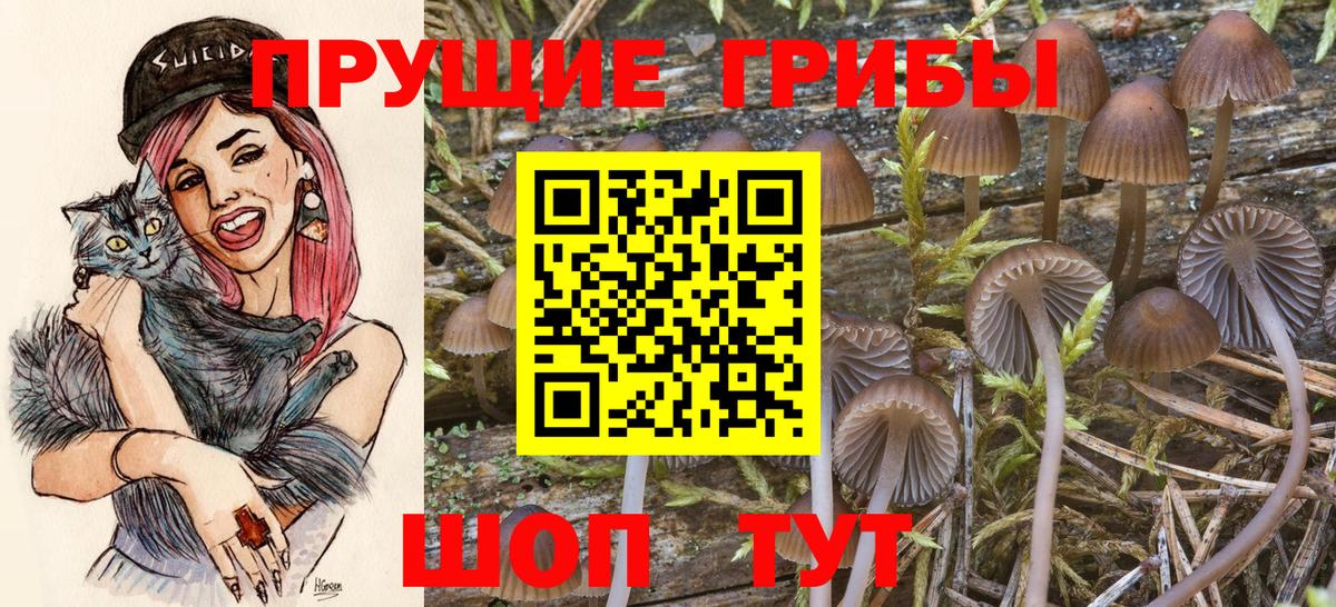 Москва  Псилоцибиновые грибы Psilocybe  Вход с VPN  Галлюциногенные грибы ЛСД 
