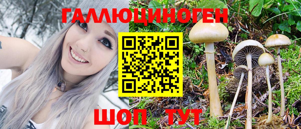 Псилоцибиновые грибы мицелий Москва